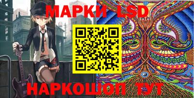 индика Пенза