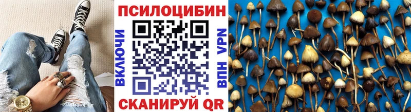 дарк нет какой сайт  Якутск  Псилоцибиновые грибы Psilocybe 