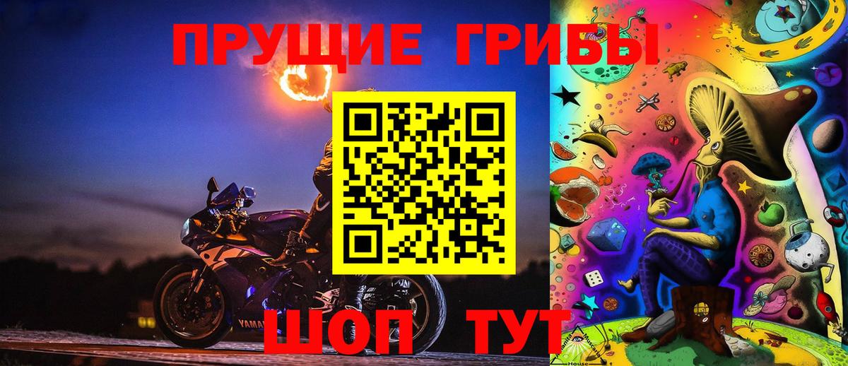 Псилоцибиновые грибы Psilocybe  Вход с VPN  Якутск  Галлюциногенные грибы ЛСД 