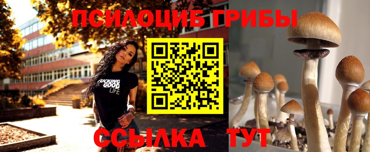Псилоцибиновые грибы мухоморы Якутск